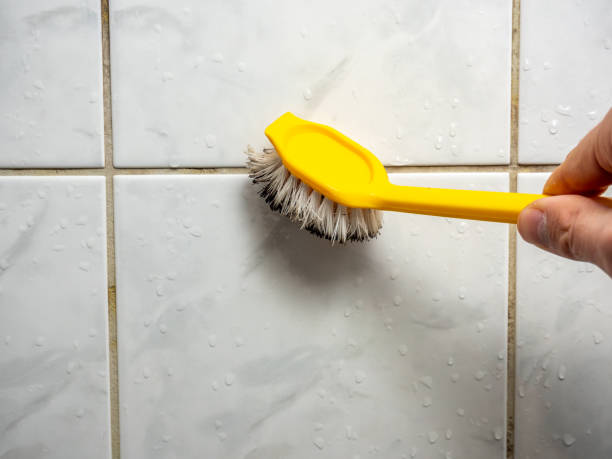 Best Home Mold Removal  in World Golf Village, FL